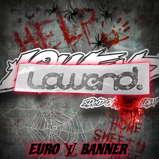 EURO LV BANNER
